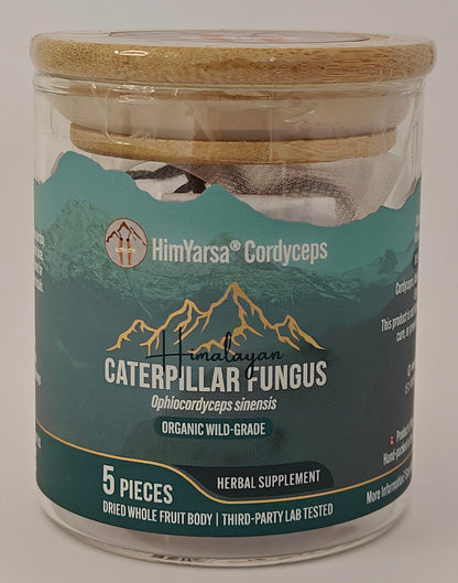HimYarsa® Cordyceps (Yarsagumba) [Ophiocordyceps sinensis]